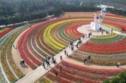 신안군 ‘2024 섬 튤립 축제’ 성공 개최 !!